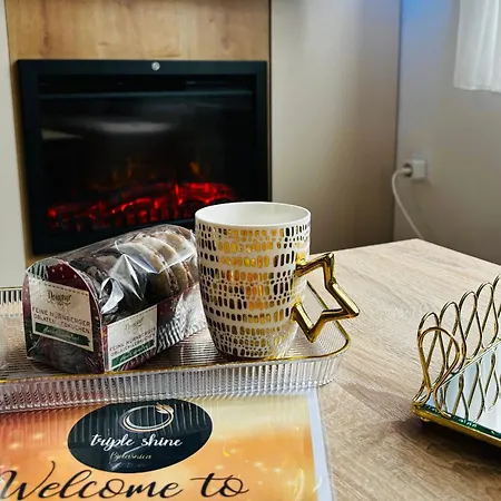 Triple Shine & Free Garage アパート *