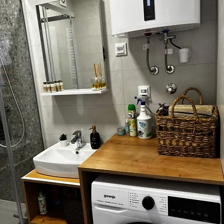 Triple Shine & Free Garage Appartement