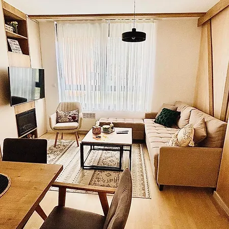 Triple Shine & Free Garage Appartement *