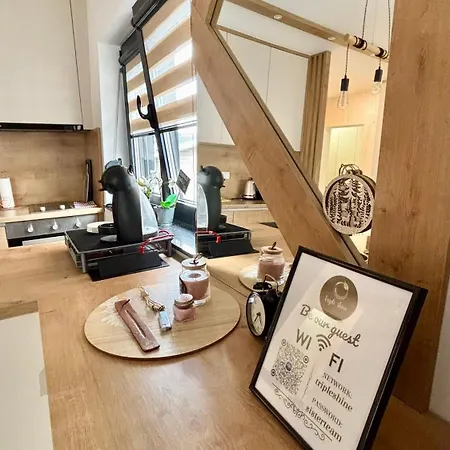 Triple Shine & Free Garage Appartement *